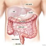 Hai loại protein giúp dự đoán ung thư đại tràng