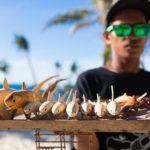 Nhờ có cá mập, đảo ngọc du lịch tại Philippines hồi sinh thần kì