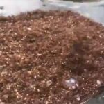 Kinh ngạc đảo kiến lửa khổng lồ trôi nổi trong siêu bão ở Mỹ