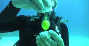 Điều gì xảy ra khi đập vỡ quả trứng dưới nước?