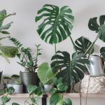 Top 5 mẹo giúp đối phó với mùa hè nóng nực, điều cuối 99% mọi người đều làm sai nhưng không biết