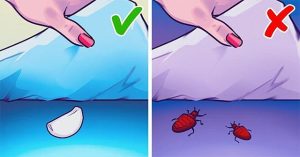 Vì sao bạn nên đặt một nhánh tỏi dưới gối khi ngủ?