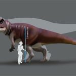 Phát hiện dấu chân “quái dị long” dài 80cm ở Australia