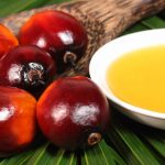 Tại sao phải trộn dầu cọ với các loại dầu ăn khác