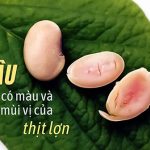 Biến đổi gene ở đậu nành để cho ra hạt đậu có màu và mùi vị của thịt lợn