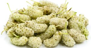 Việt Nam có một loại cây quý rất giàu vitamin C, giúp kiểm soát đường huyết, dưỡng gan hiệu quả
