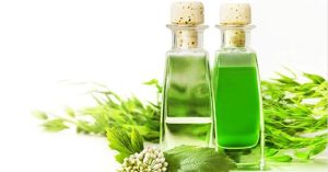 Dầu tràm là gì? Công dụng của dầu tràm