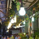 Ứng phó biến đổi khí hậu từ… bóng đèn