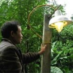 Rác thải thành điện thắp sáng nông thôn