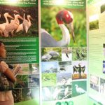 Điểm nóng thế giới đa dạng sinh học: ASEAN