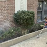 Khốn khổ nhiều năm với “kẻ thù” hôi hám này, bằng cách nào New York đã quét sạch 100% quân số của chúng?