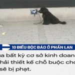 10 điều độc đáo chỉ có ở Phần Lan