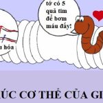 10 điều thú vị về cuộc sống có thể bạn chưa biết