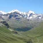 Tuyết tan chảy, đỉnh Alps đang “xanh hóa” mạnh mẽ