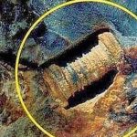 Đinh ốc 300 triệu năm tuổi hay sinh vật biển hóa thạch?