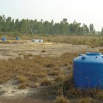 Thực phẩm là con đường chính phơi nhiễm dioxin