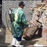 H5N1 biến dạng ở Ai Cập