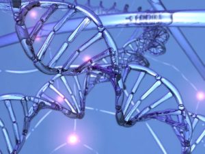 DNA sẽ thế nào khi nó bị kéo căng