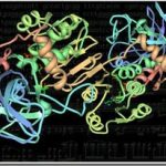 Khám phá “giai điệu” của các phân tử DNA
