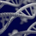 Phát hiện 155 gene mới liên quan sự tiến hóa của loài người