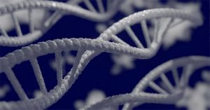 Phát hiện 155 gene mới liên quan sự tiến hóa của loài người
