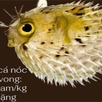 Thang đo các chất độc sinh học thường gặp trong tự nhiên, độc nhất là vi khuẩn