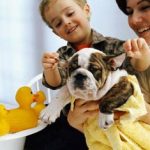50 triệu người trên thế giới mắc bệnh từ động vật