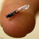 Gắn chip cho chó quy mô toàn quốc
