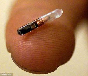 Gắn chip cho chó quy mô toàn quốc