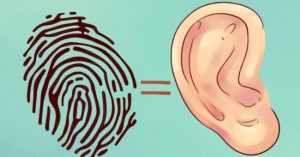 Sự thật thú vị về đôi tai hầu hết mọi người không biết