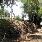 Khai quật di tích Đồn Thứ