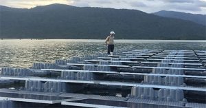 Dự án điện mặt trời Đa Mi sử dụng phao nổi “Made in Vietnam”