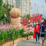 Vì sao những ngày Tết luôn trôi qua thật nhanh?