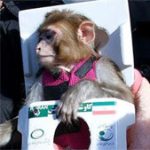 Iran đưa thành công chú khỉ thứ hai vào không gian