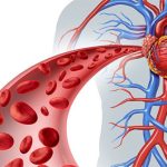 Bằng cách nào để đưa oxy đến tất cả tế bào trong cơ thể?