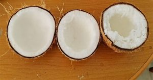 Công cụ giúp đo tỷ lệ dừa sáp bằng âm thanh