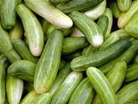Viêm gan mạn tính cần ăn gì?