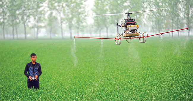 Colombia dùng drone phun thuốc diệt cây coca để ngăn chúng được tổng hợp thành cocaine