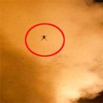 Ếch “bay” cùng tàu vũ trụ của NASA