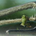 Phát hiện hoá thạch loài ếch cổ nhất ở Bắc Mỹ
