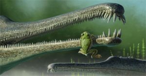 Phát hiện hoá thạch loài ếch cổ nhất ở Bắc Mỹ