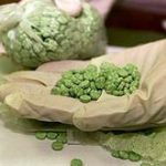 Thuốc Ecstasy làm hủy tiêu diệt tế bào não