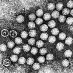 Ninh Thuận: thêm 20 bệnh nhi nhiễm virus đường tiêu hóa