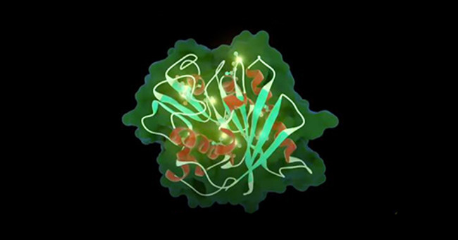 Phát triển thành công enzyme có khả năng phân hủy nhựa