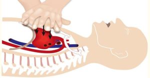 Tại sao ép tim thổi ngạt có thể làm cơ thể tuần hoàn trở lại?