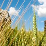 Ethiopia từ đống tro tàn trở thành nền kinh tế phát triển nhanh nhất châu lục
