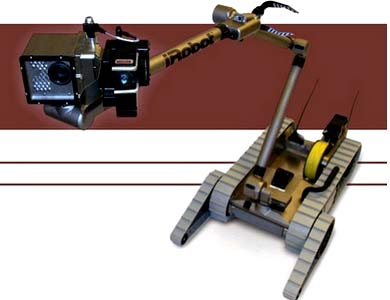 Robot rà bom
