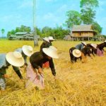 Đông Nam Á chịu ảnh hưởng nặng của hiệu ứng nhà kính