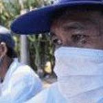 Indonesia: Thêm 2 người nhiễm cúm gia cầm