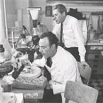 Chủ nhân giải Nobel Y học năm 1965 từ trần